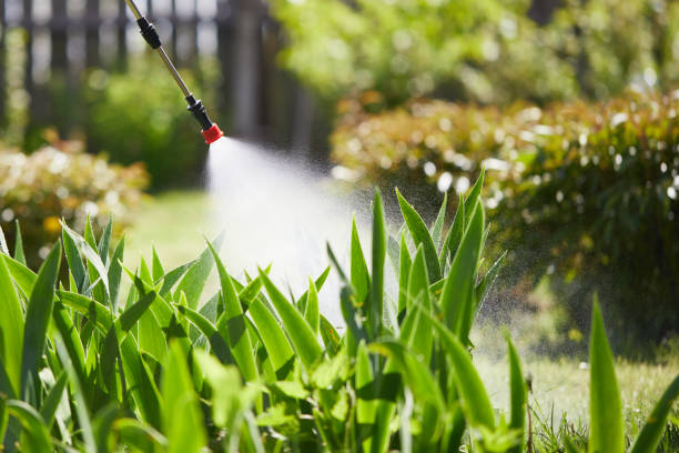 24/7 Emergency Wasp Removal experts in Wayne, MI