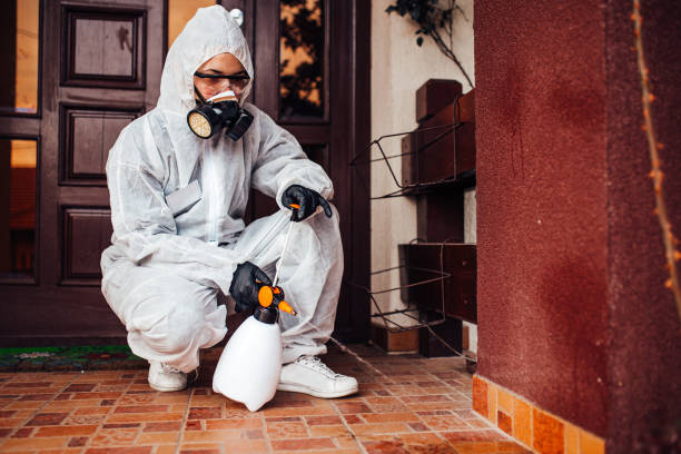 Reliable Wasp Removal contractor in Wayne, MI by Show Me Pest Control